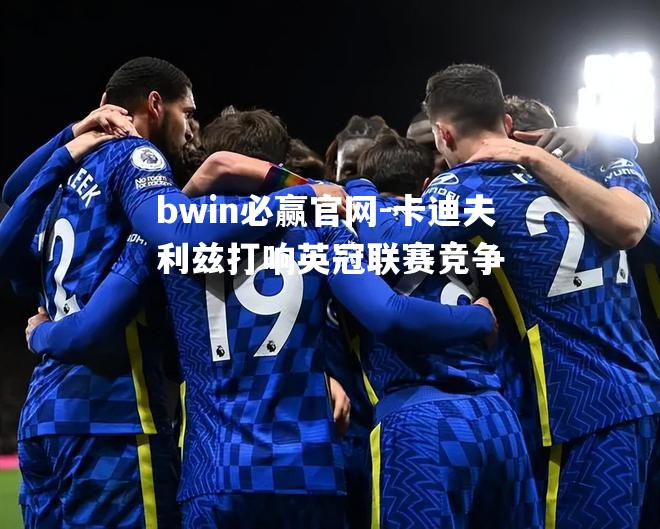 卡迪夫利兹打响英冠联赛竞争